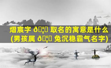 熠宸字 🦋 取名的寓意是什么(男孩属 🦆 兔沉稳霸气名字)